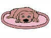 Bow-Wowz Pet Shops