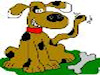 K9 Health And Fitness Limited Dog Training
