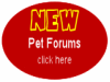 Missing Pet Register Forums Pet Forums