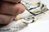 Roger Bolden Pet Artist Pet Artists