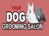 Your Dog Grooming Salon Dog Grooming