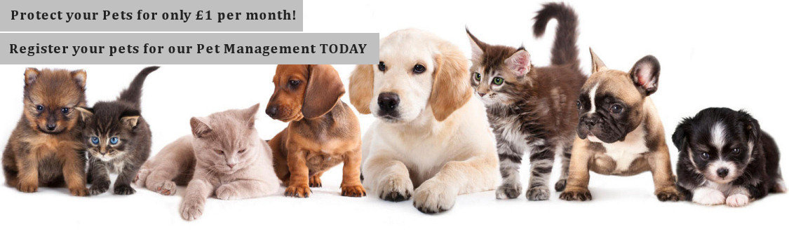 register pet registration with free pet tag