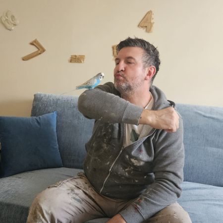 Missing Budgie Birds in LONDON