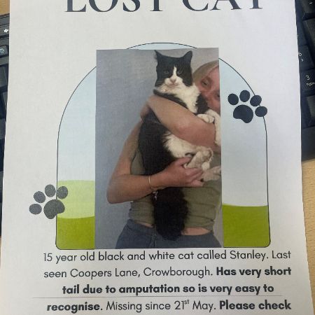 Missing Moggy Cats in Crowborough