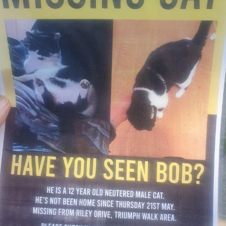 Missing Unknown - Other Cats in Birmingham