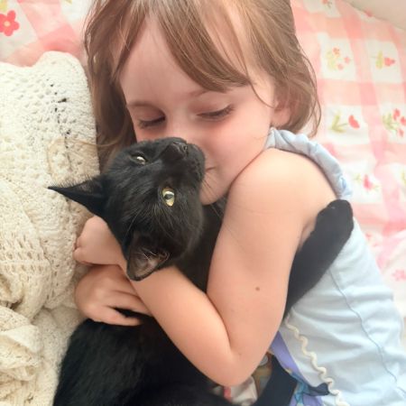 Missing Moggy Cats in Seaview 