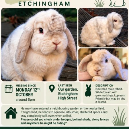 Missing Lop Eared Rabbits in Etchingham